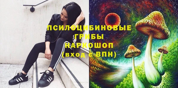 гидра Киренск
