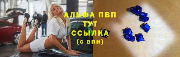 ПСИЛОЦИБИНОВЫЕ ГРИБЫ Карпинск