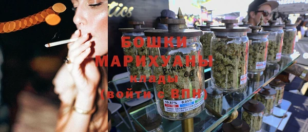 ПСИЛОЦИБИНОВЫЕ ГРИБЫ Карпинск