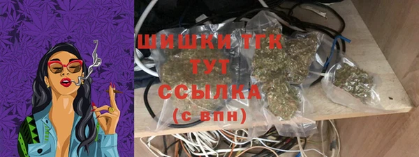 ПСИЛОЦИБИНОВЫЕ ГРИБЫ Карпинск